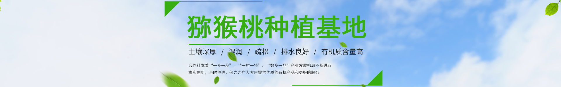 龙8国际-long8唯一官方网站